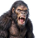 Bigfoot Fictionalized Encounters Kindle eBook Primatology Mystery-0